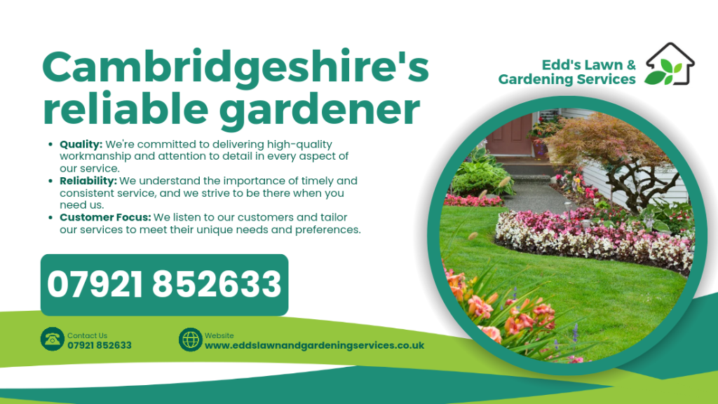 Your Ultimate Guide to Finding the Best Gardener in Cambridgeshire